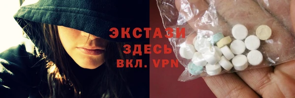 хмурый Алексин