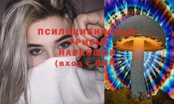 хмурый Алексин