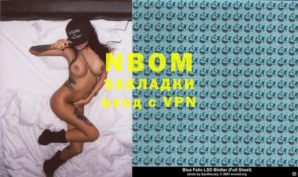 хмурый Алексин