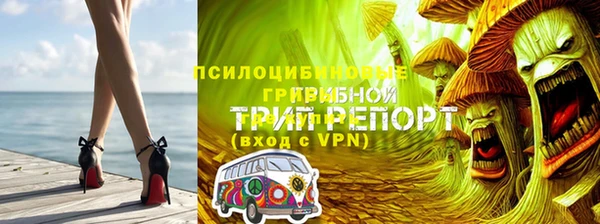 хмурый Алексин