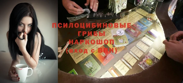 гидра Алзамай