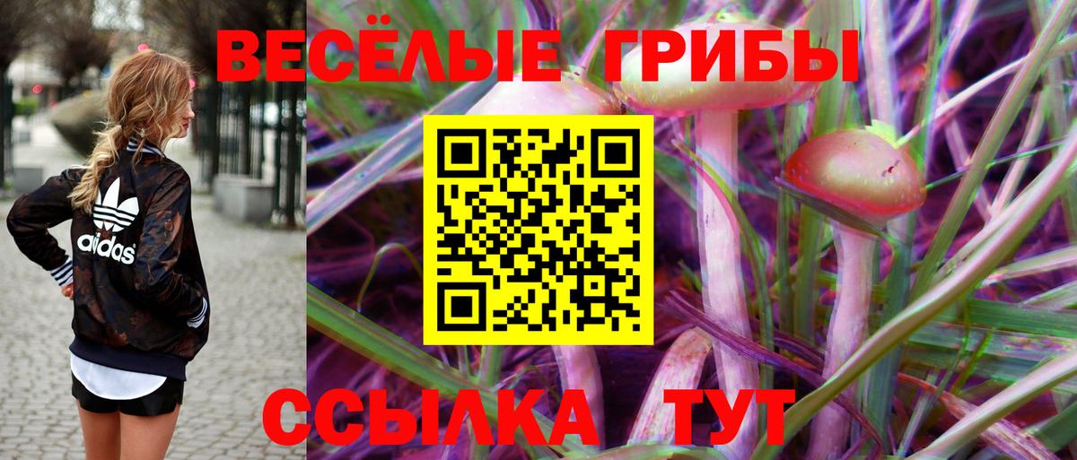 Псилоцибиновые грибы ЛСД Новокубанск