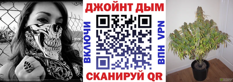 как найти Новокубанск Конопля семена